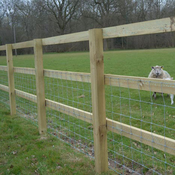 Post and rail with stock fencing