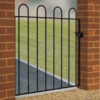 Court hoop gate