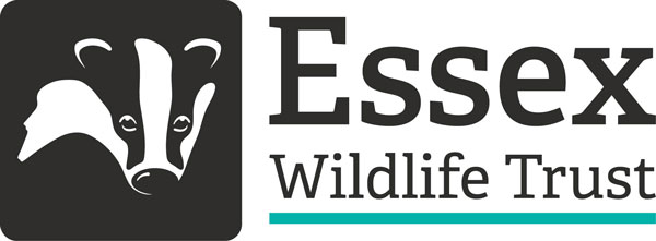 Essex wildlife trust