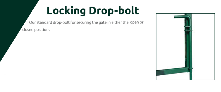 Locking drop-bolt