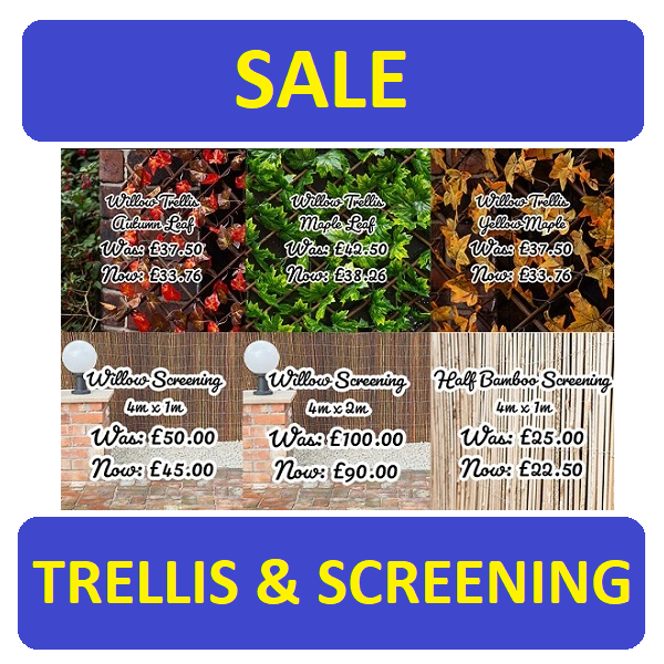 Trellis and screening