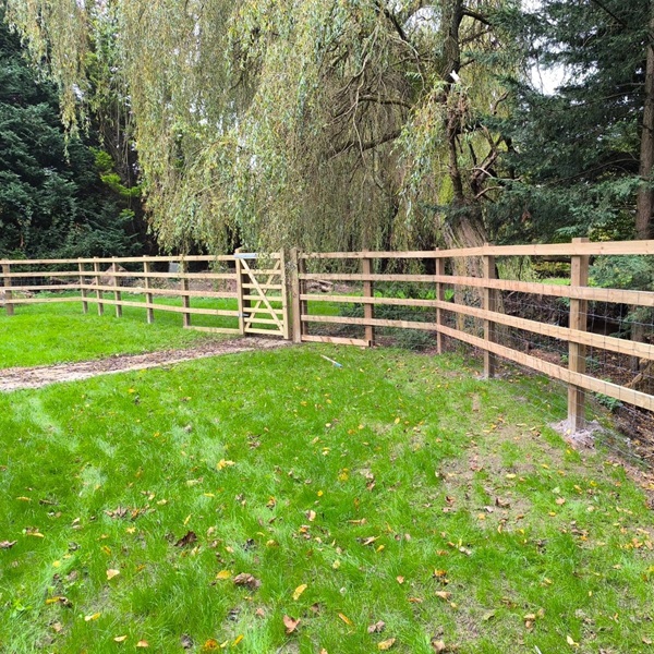 Field gate and square edge post and rail + stock mesh