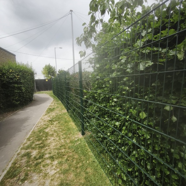 Protek 656 Twin Wire Mesh Fencing Green