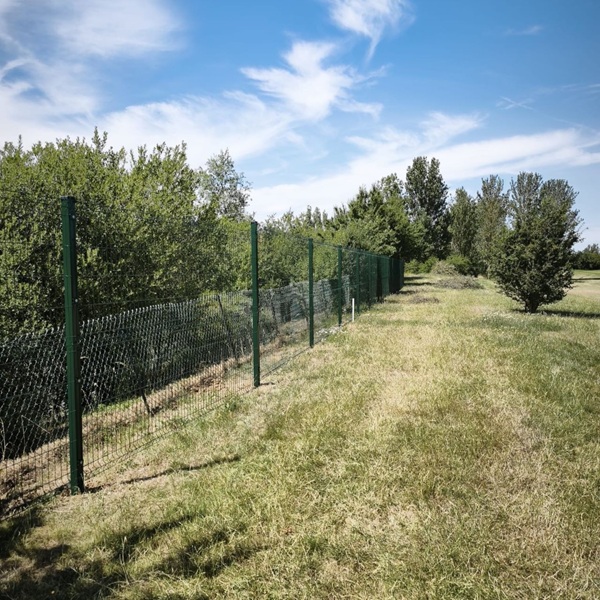 Protek 1000 V mesh fencing